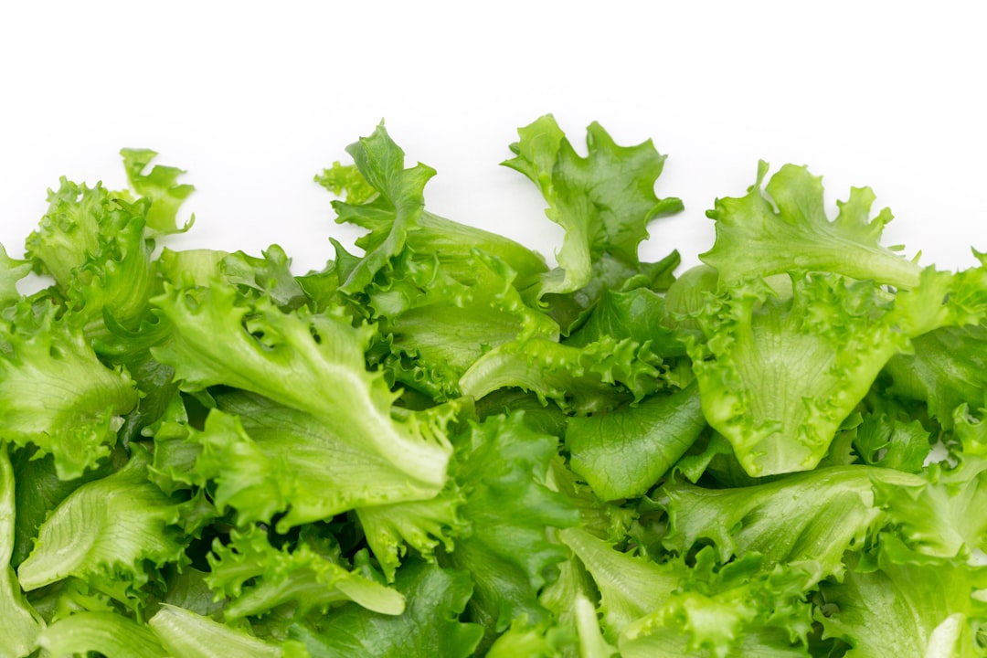 Crates of iceberg lettuce in a produce distribution warehouse — Taylor Farms cyclospora recall insurance implications